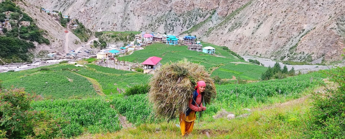 Delightful Charang Village of Kinnaur