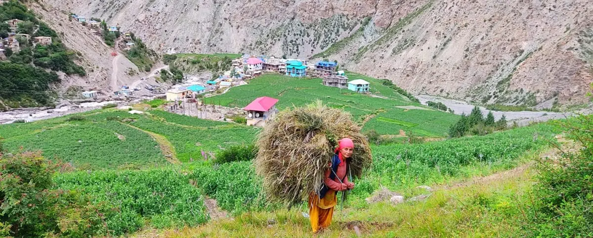 Delightful Charang Village of Kinnaur
