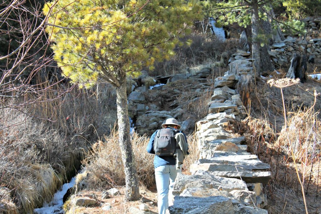 Hiking along the stream, Chaka meadows trek, Kalpa , Kinnaur
