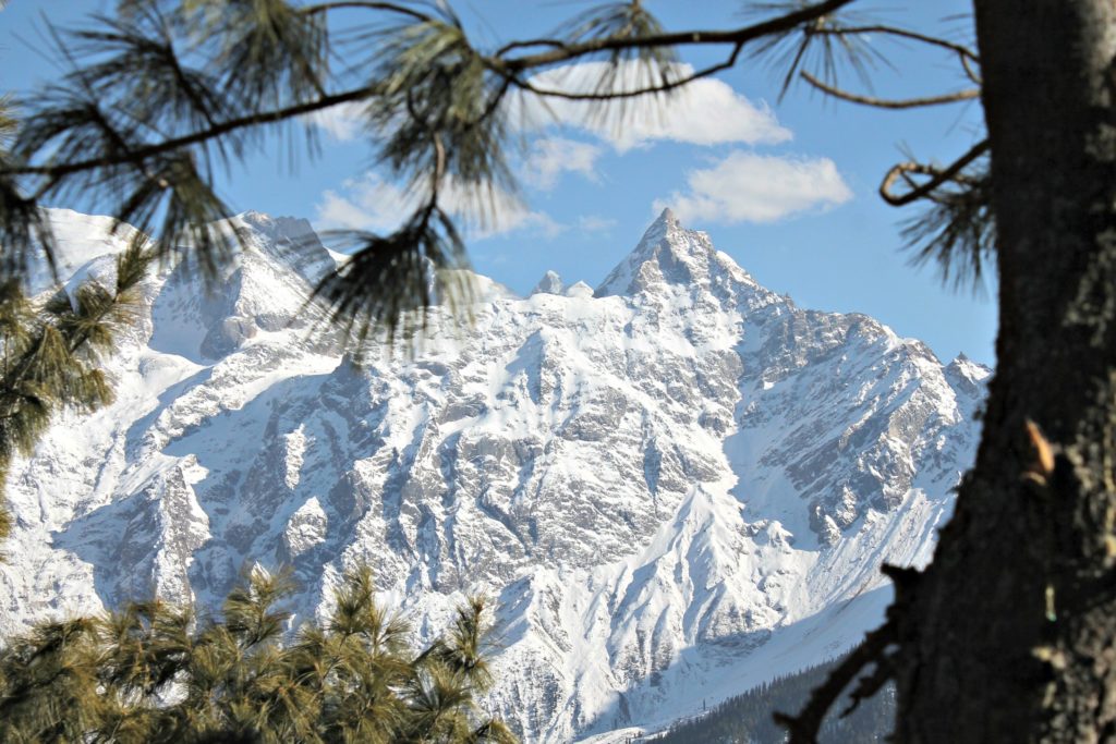 Raldang peak framed! Enroute Chaka meadows trek , Kalpa , Kinnaur