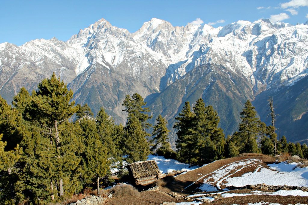 Views from Chaka meadwos , Kalpa , Kinnaur
