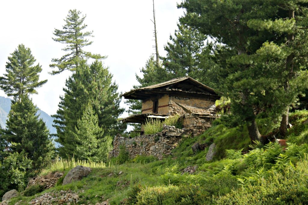 Traditional house , enroute Chaka meadows , Kalpa , kinnaur