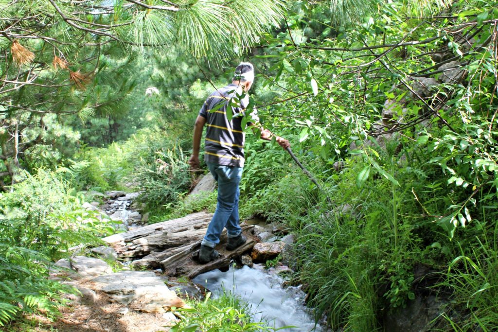 Small foot bridge , En route Chaka meadows , Kalpa , Kinnaur