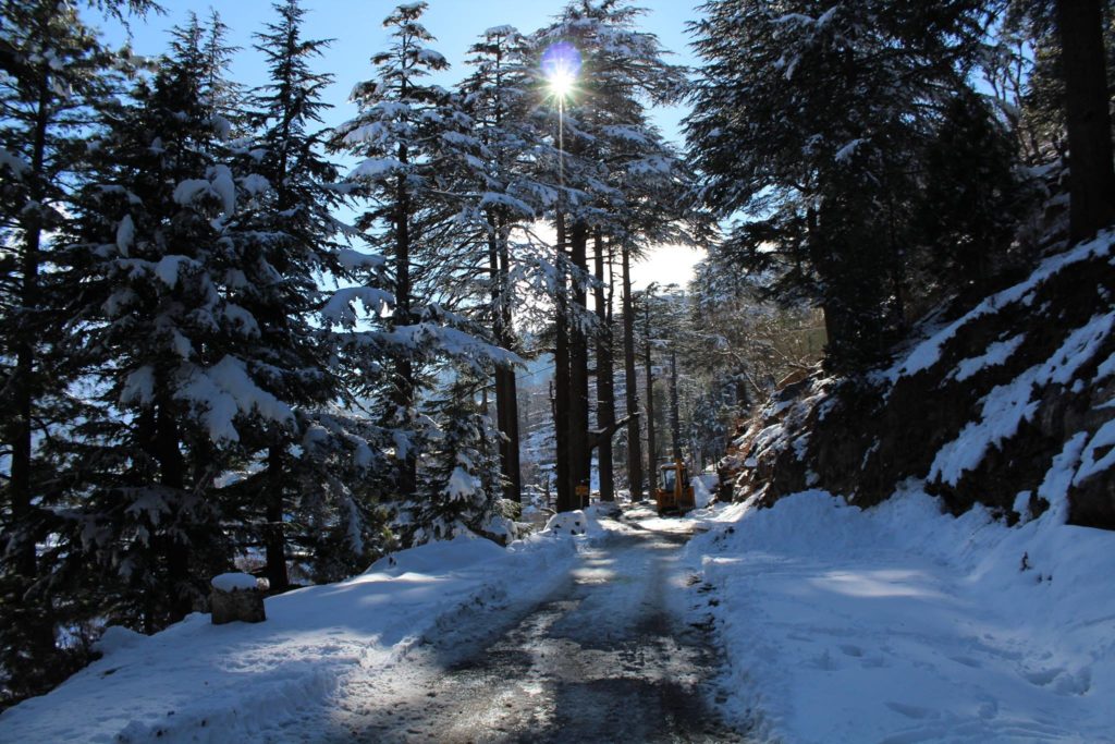 Icy road en route Kalpa village of Kinnaur