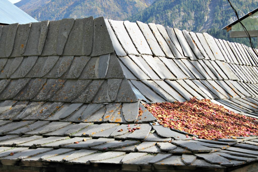 Dried apple chips , Sangla , Baspa valley , Kinnaur