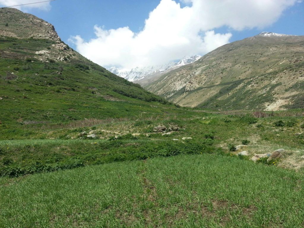 Green landscape of Charang village