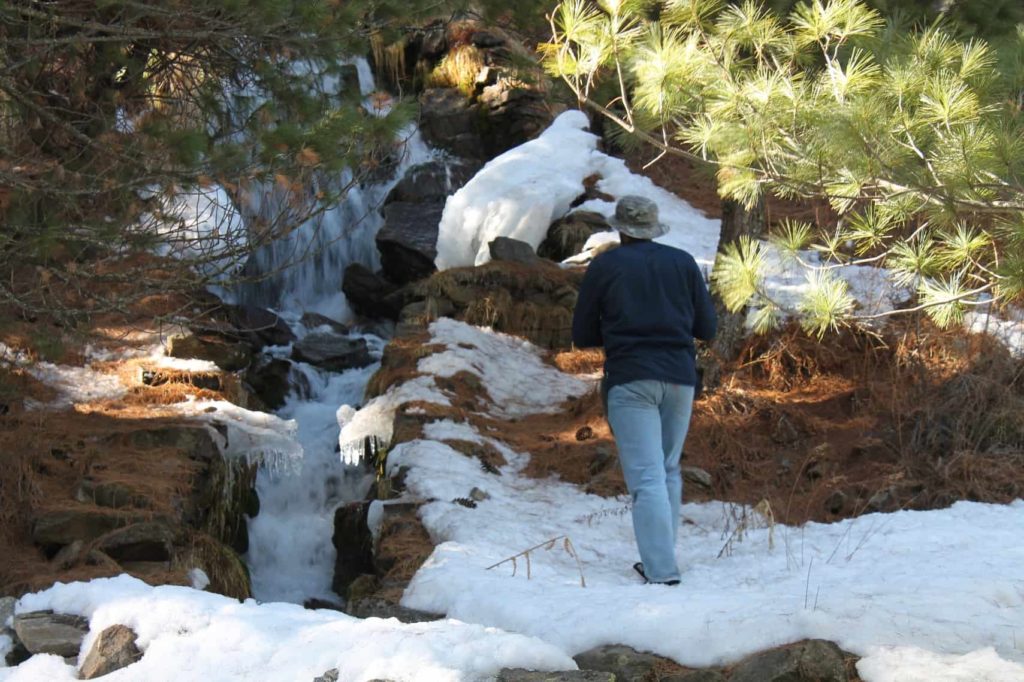 Walking besides the singing stream | Chaka meadows Kalpa | Winter in Kinnaur