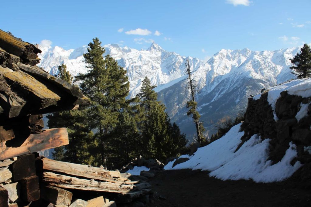 Chaka meadows trail , Kalpa | Winter in Kinnaur
