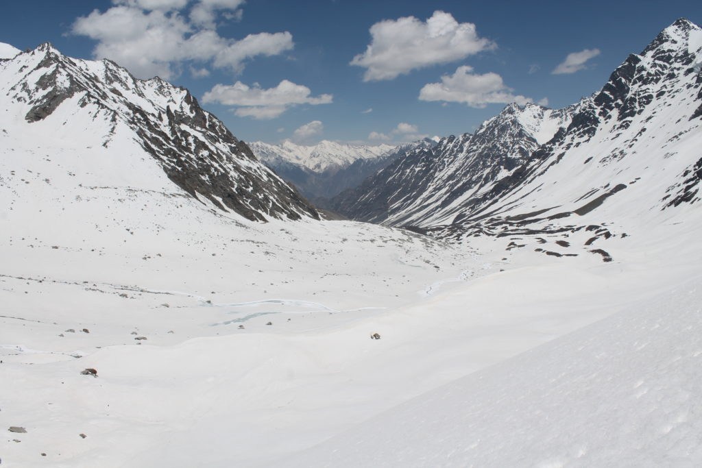 Snowy landscape view