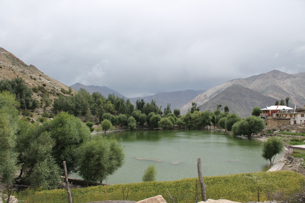 The green oasis - Nako lake