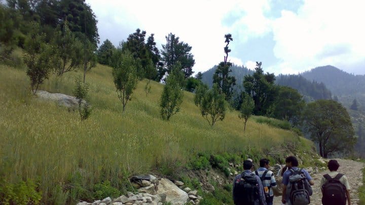 Barley fields of the Janglikh locals