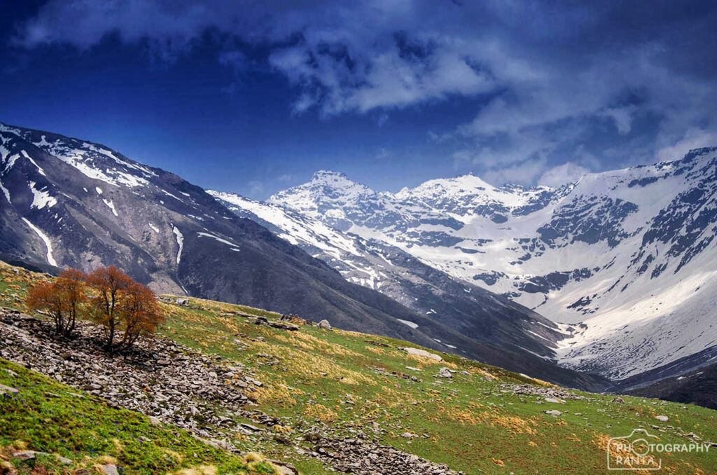 Meadows and snow capped Buran mountain range