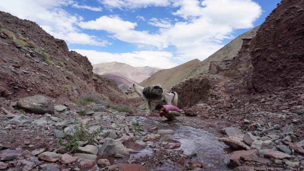 Drinking water from a mountain stream in Ladakhb