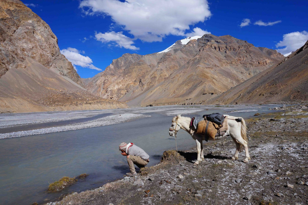 Drinking water straight from a river in Ladakh