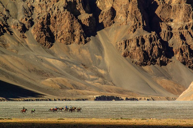 Changpa tribesmen returning to home after crossing Parang La