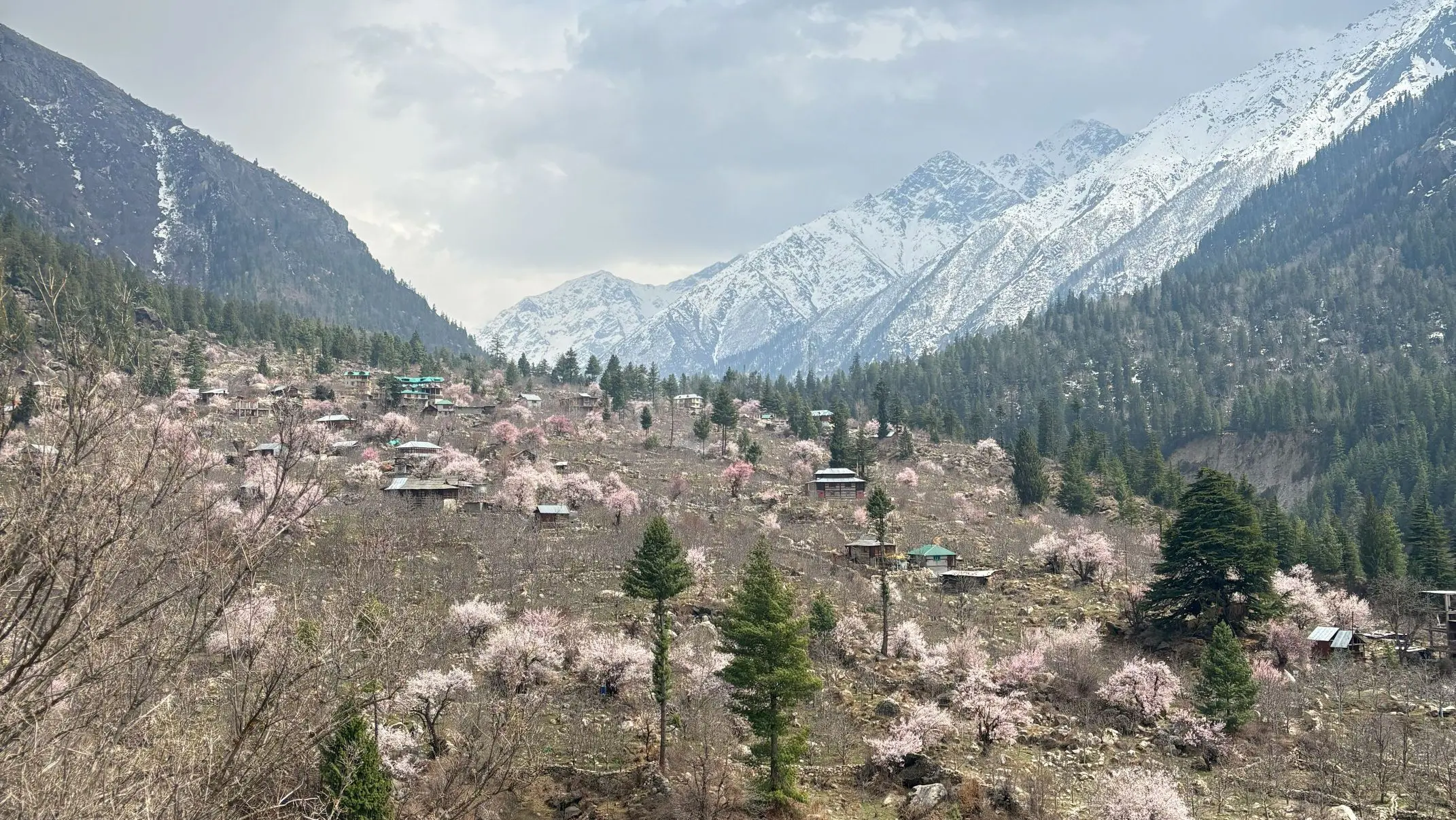 Exploring Sangla – A Ravishing River Valley in Kinnaur
