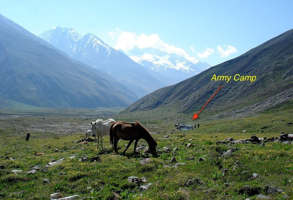 Horses grazing on meadow of Kyarkoti