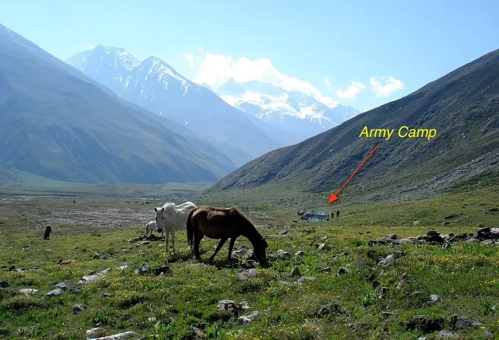 Horses grazing on meadow of Kyarkoti