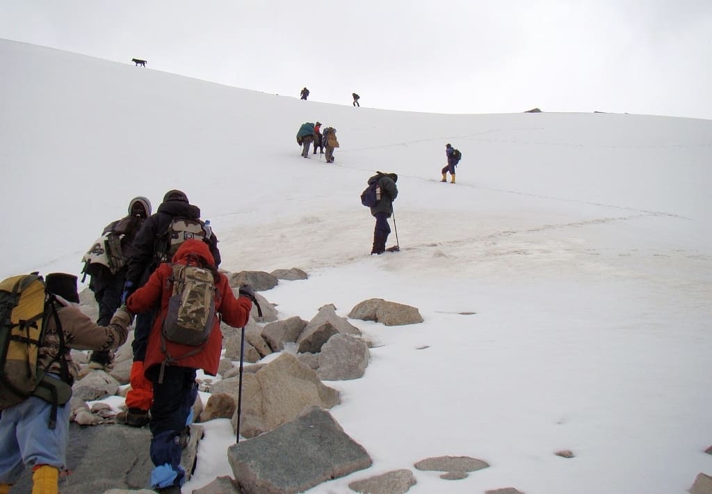 Our dog Sherry leading the trekkers group