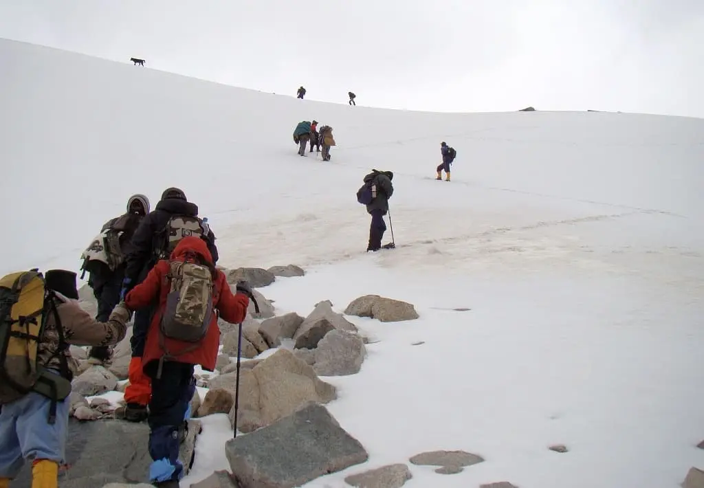 Our dog Sherry leading the trekkers group