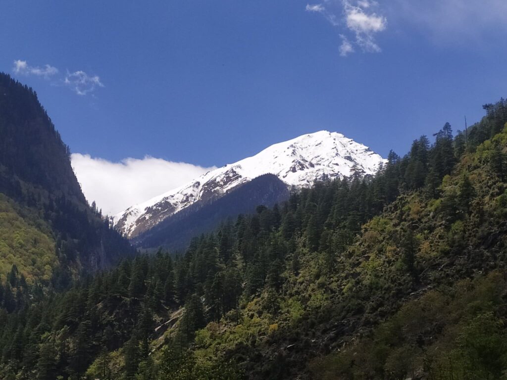 View of snow-clad peaks from Brua village