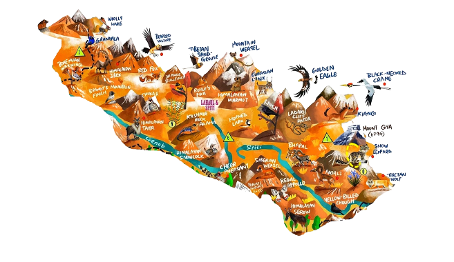 Wildlife map of Lahaul & Spiti district of Himachal