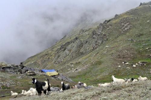 Asrang Kanda , Larsa we trek