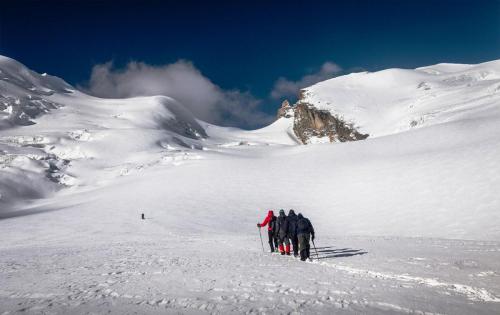 Auden's col